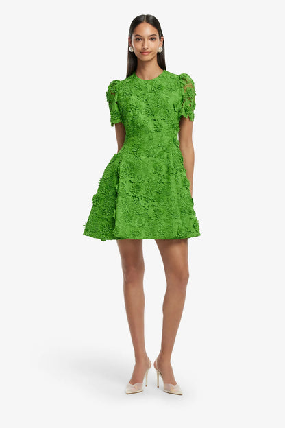 Fern