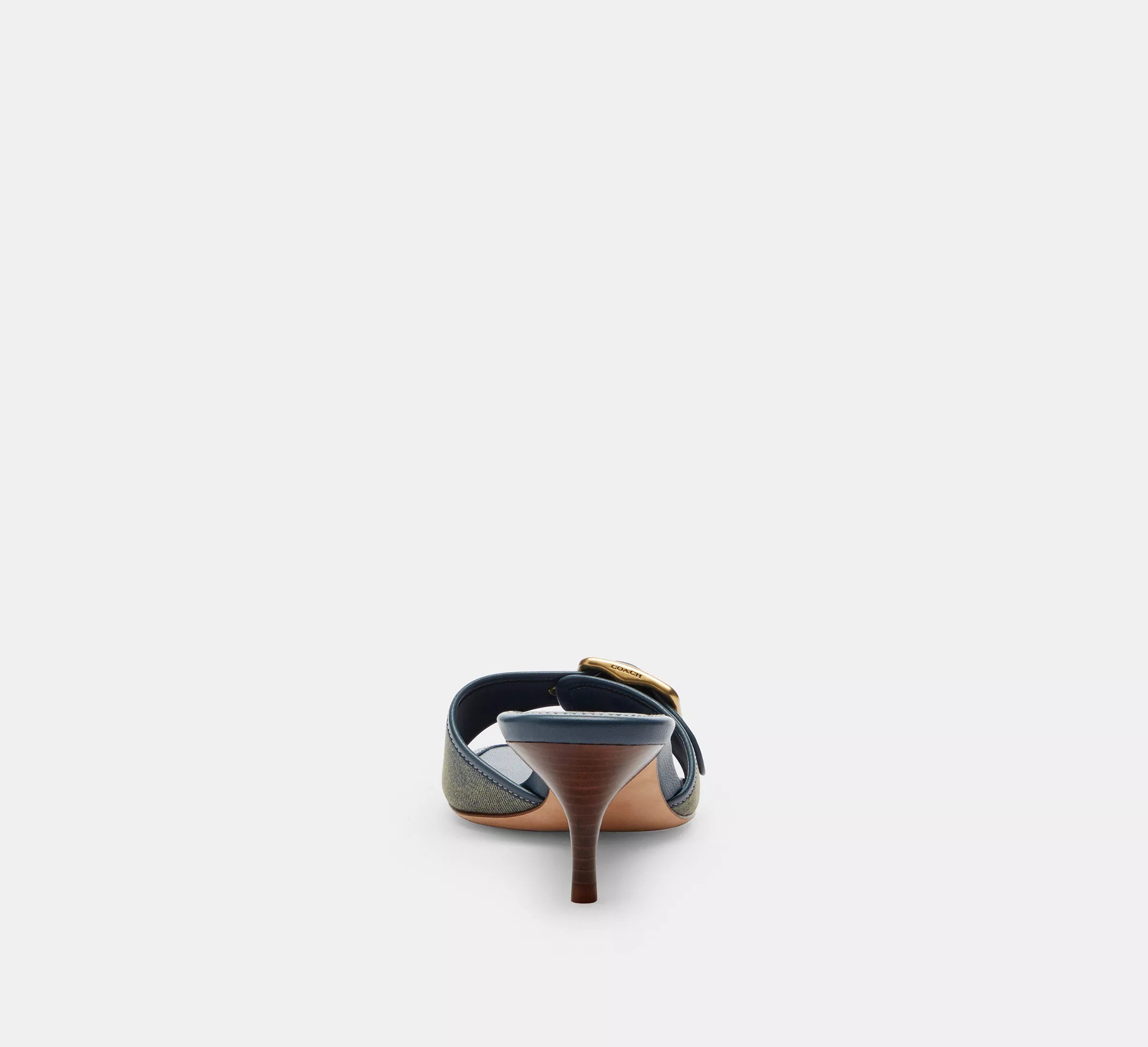 Dark Indigo