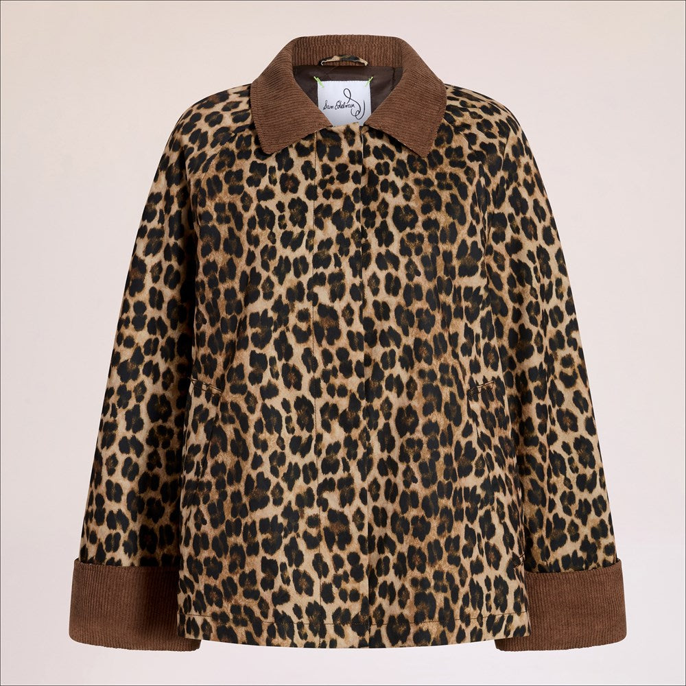 Leopard