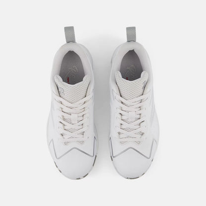 White With Silver Metallic