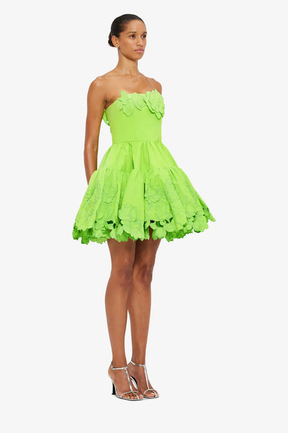Lime