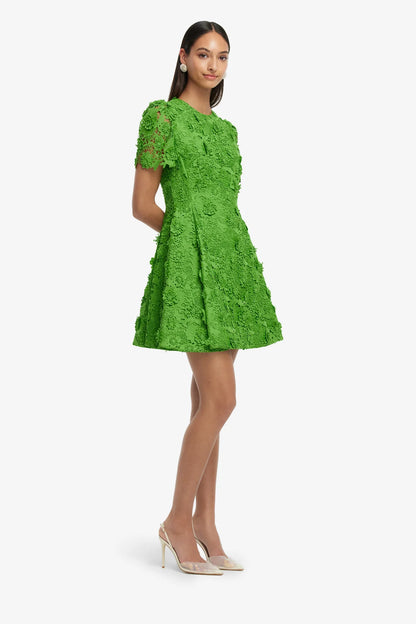 Fern